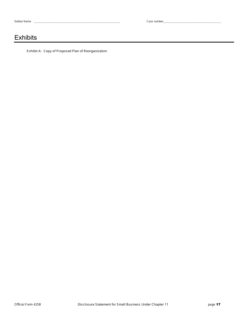 Official Form 425B Disclosure Statement for Small Business Under Chapter 11, Page 17