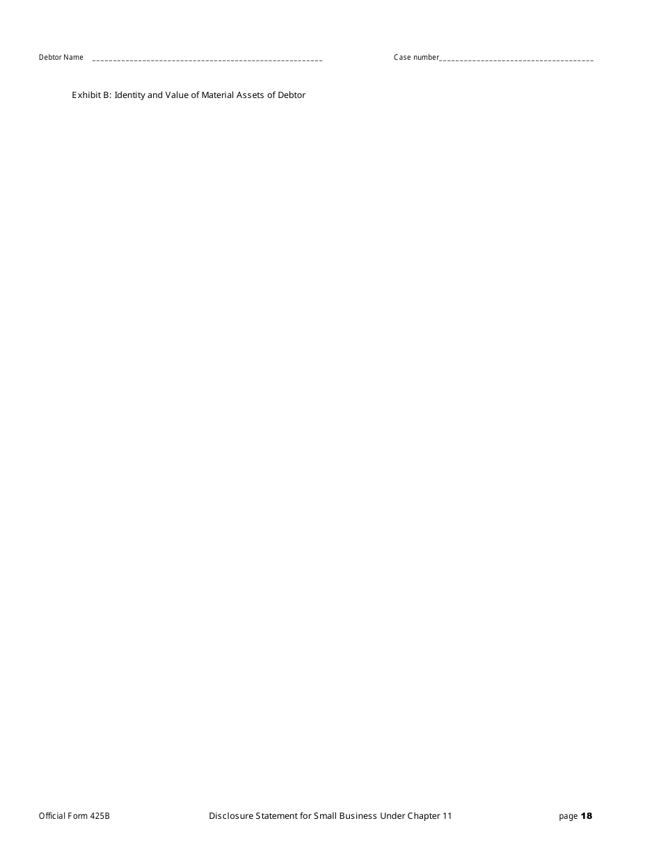 Official Form 425B Disclosure Statement for Small Business Under Chapter 11, Page 18