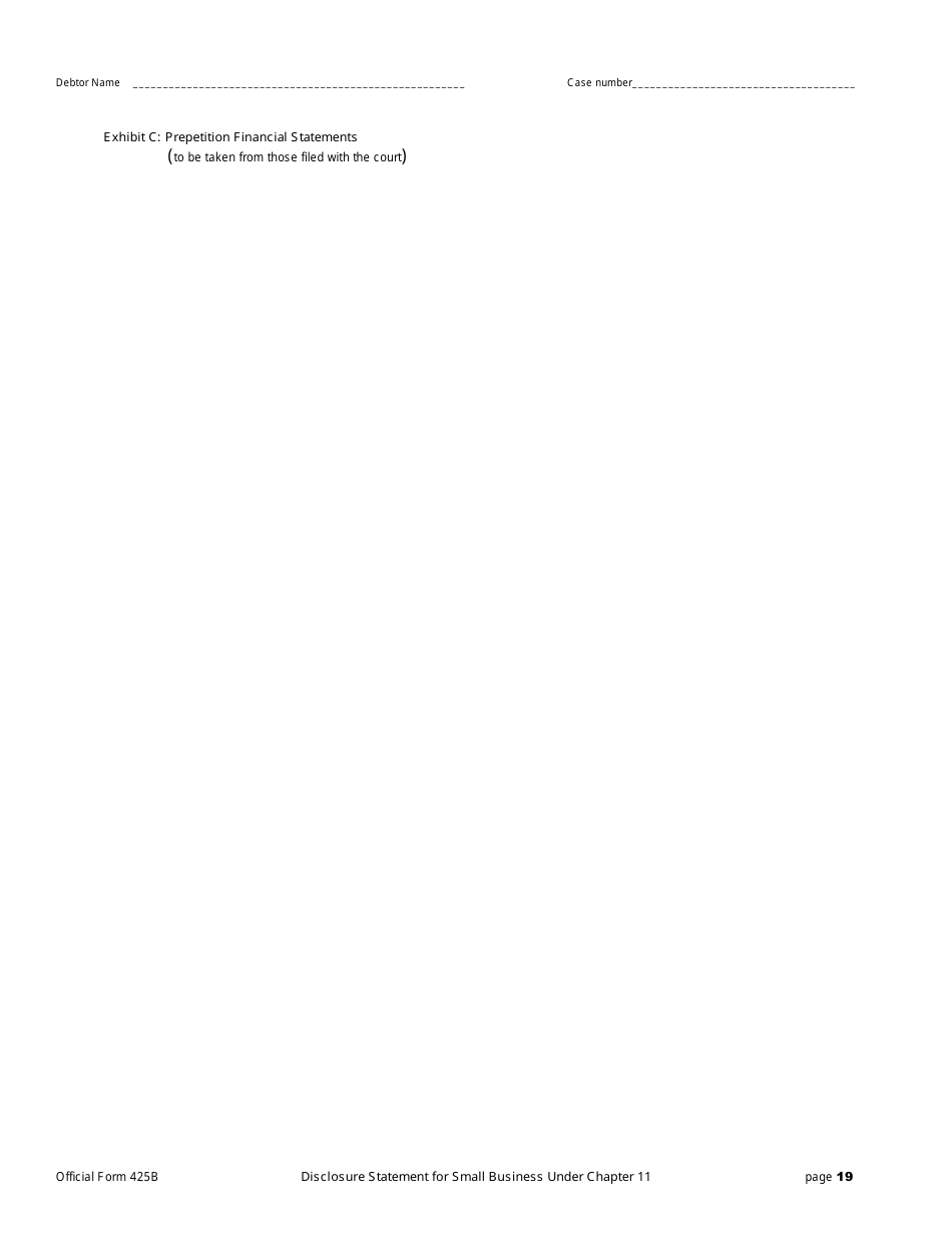 Official Form 425B Disclosure Statement for Small Business Under Chapter 11, Page 19