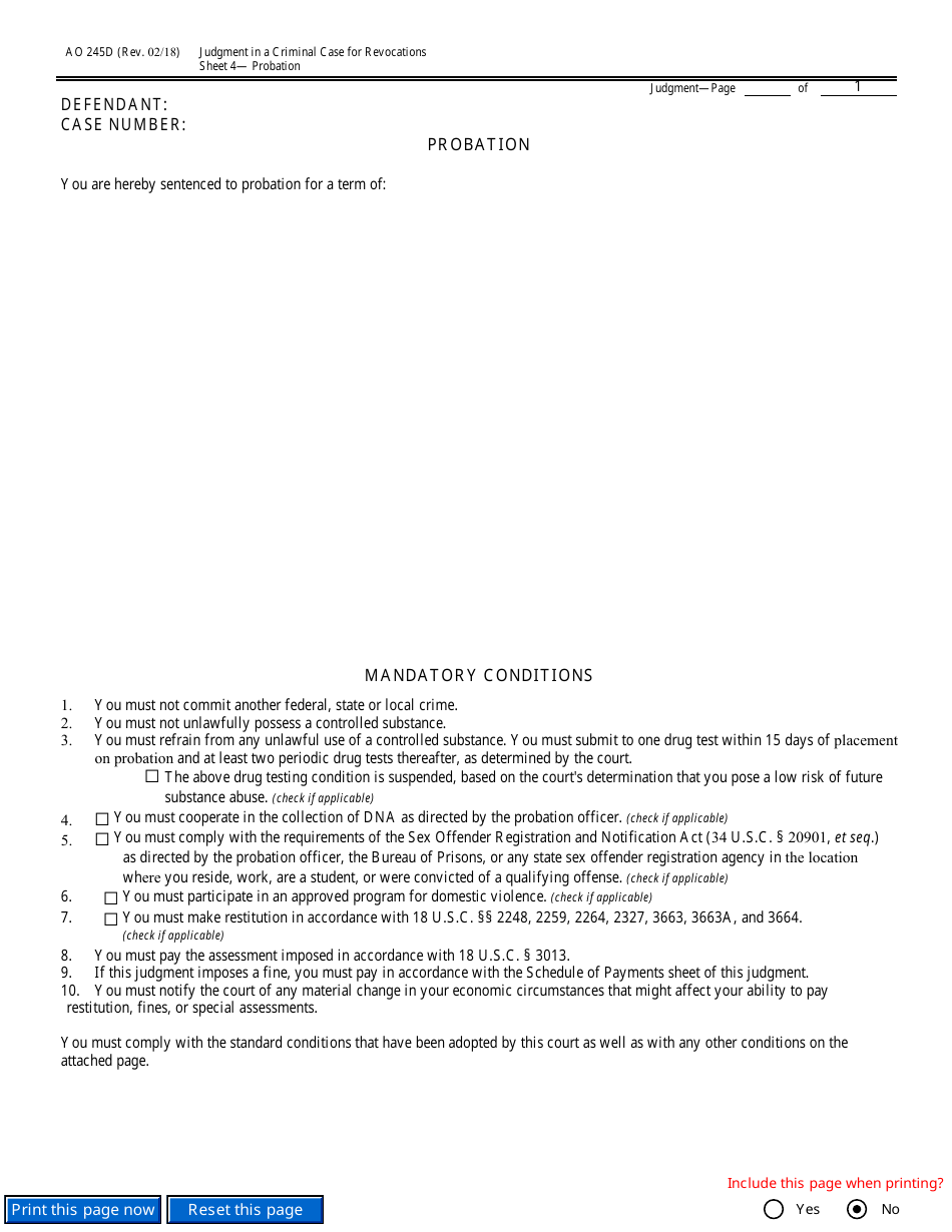 Form AO245D Judgment in a Criminal Case (For Revocation of Probation or Supervised Release), Page 10