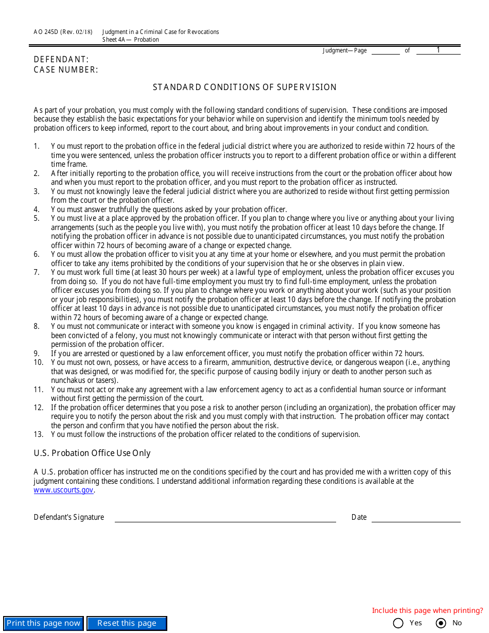 Form AO245D Judgment in a Criminal Case (For Revocation of Probation or Supervised Release), Page 11