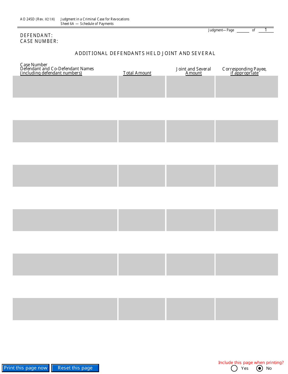Form AO245D Judgment in a Criminal Case (For Revocation of Probation or Supervised Release), Page 19