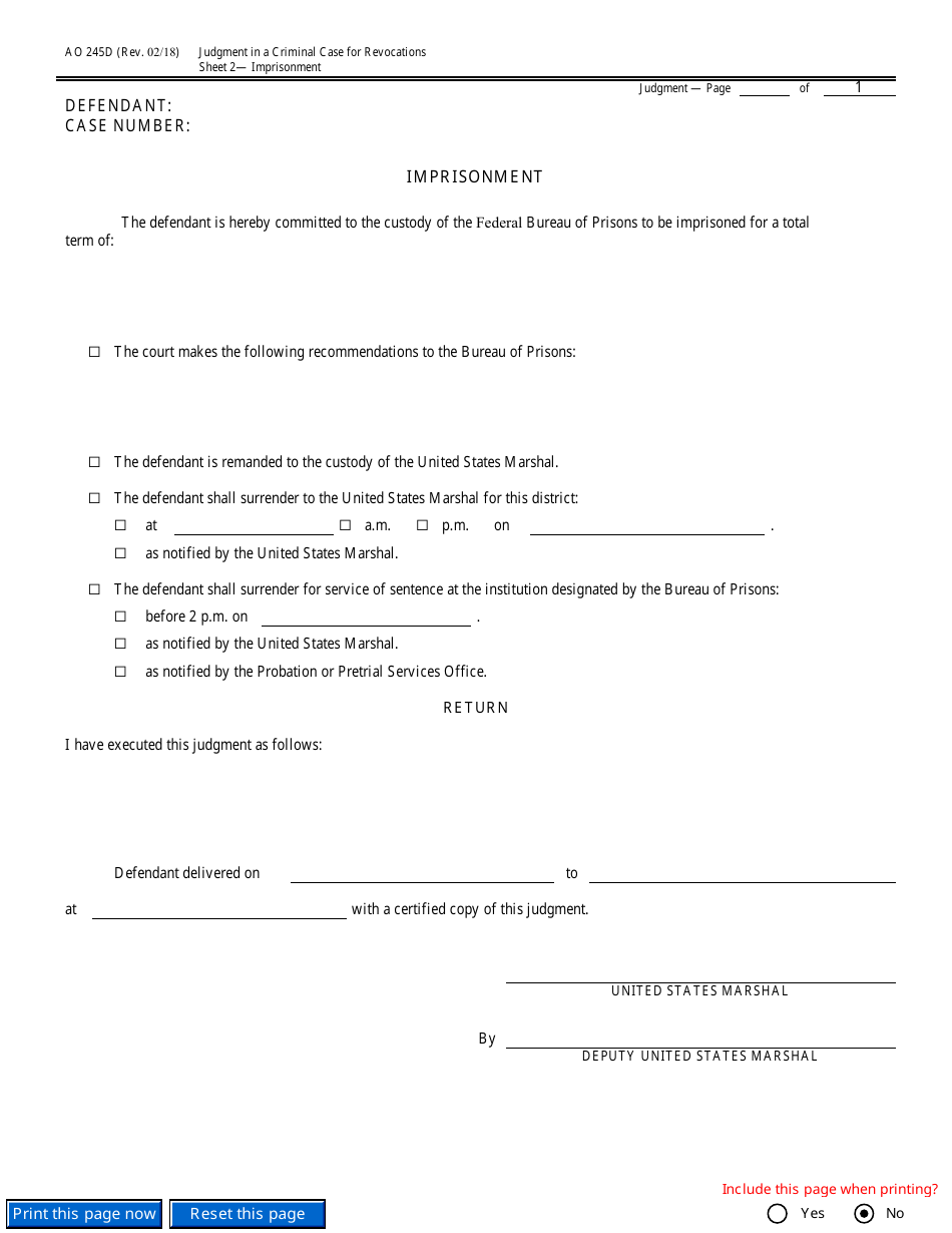 Form AO245D Judgment in a Criminal Case (For Revocation of Probation or Supervised Release), Page 3