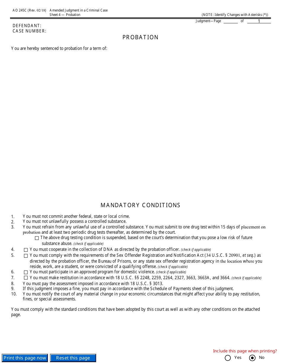 Form AO245C Amended Judgment in a Criminal Case, Page 10