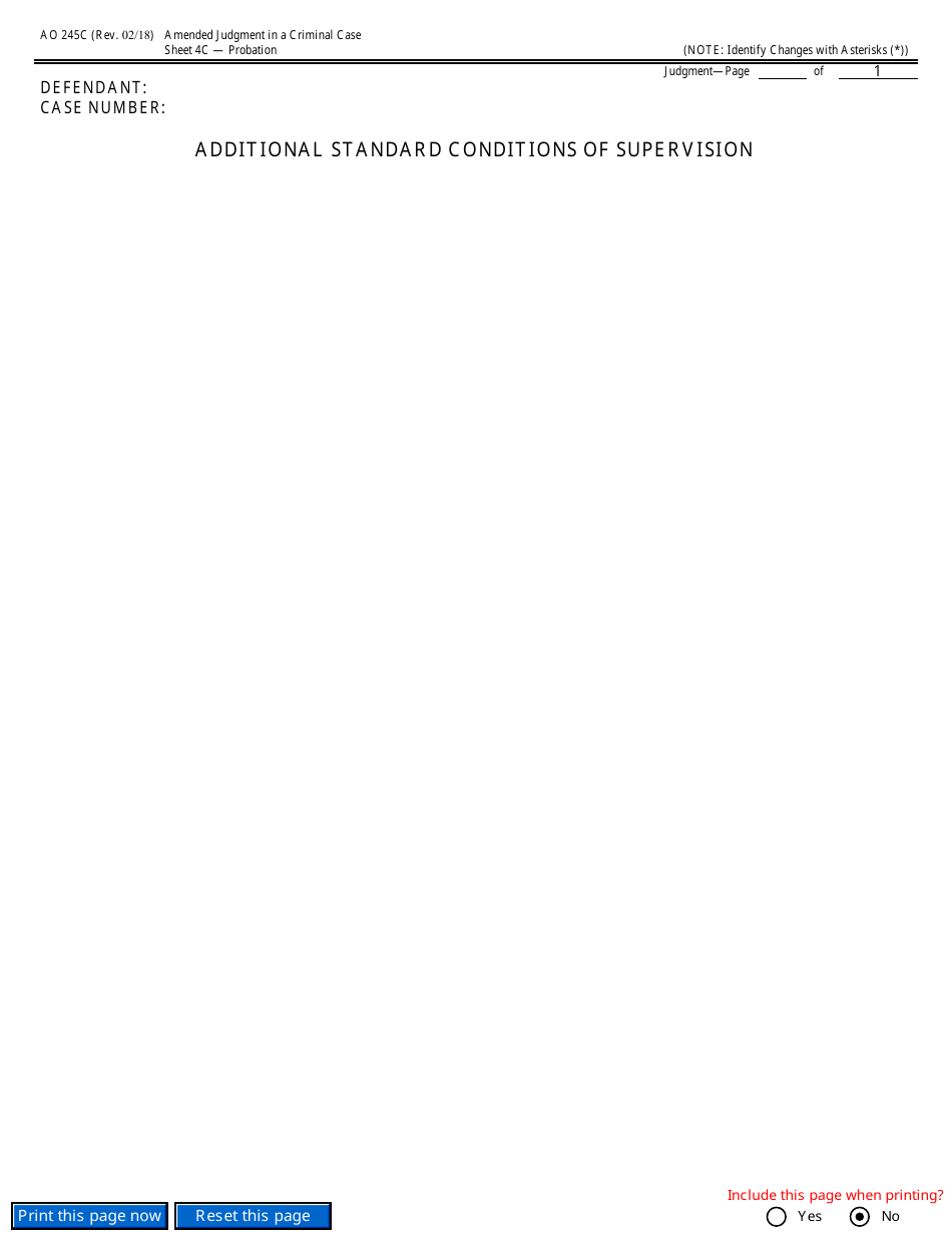 Form AO245C Amended Judgment in a Criminal Case, Page 13