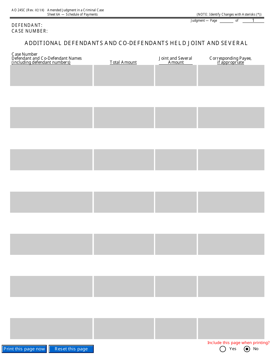 Form AO245C Amended Judgment in a Criminal Case, Page 19