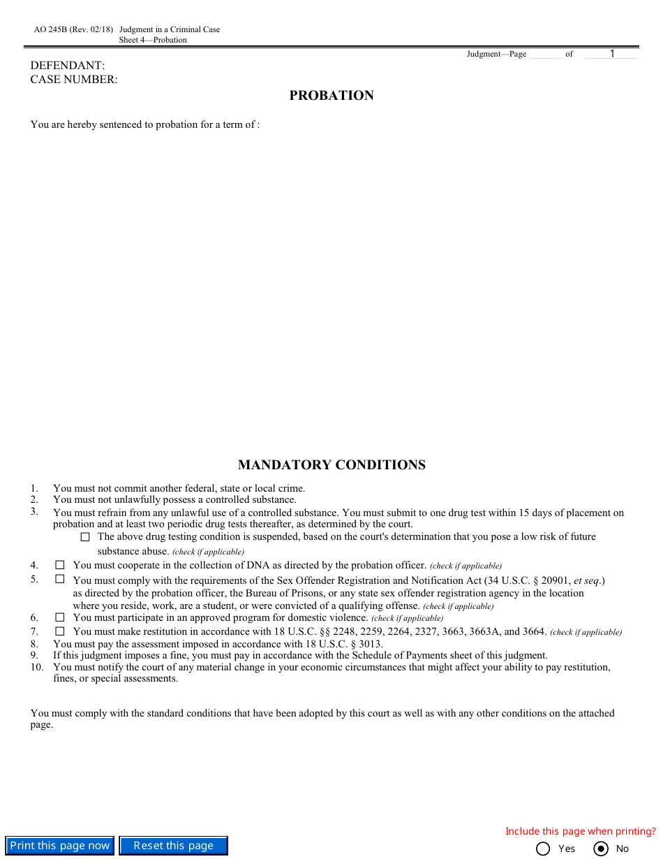 Form AO245B Judgment in a Criminal Case, Page 10