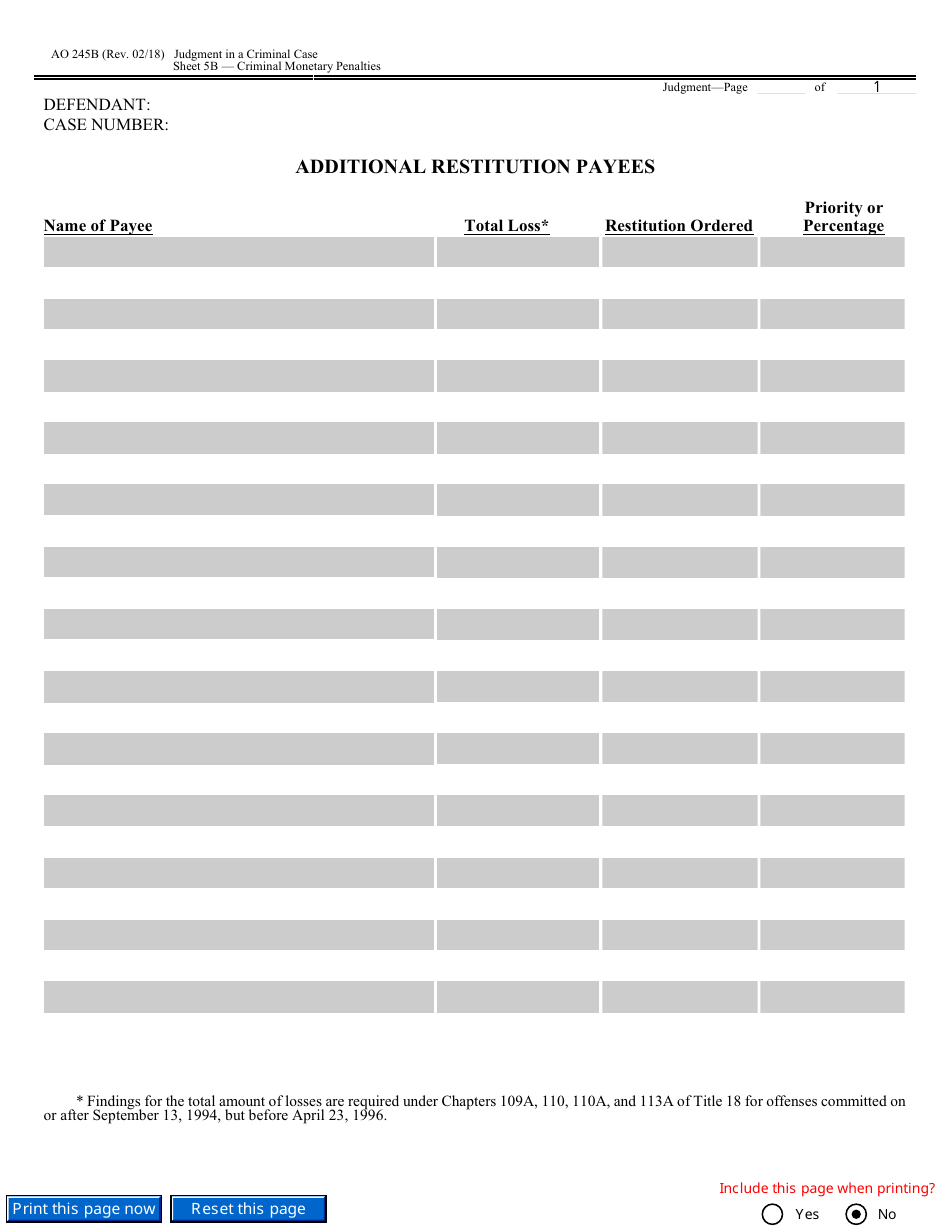 Form AO245B Judgment in a Criminal Case, Page 17
