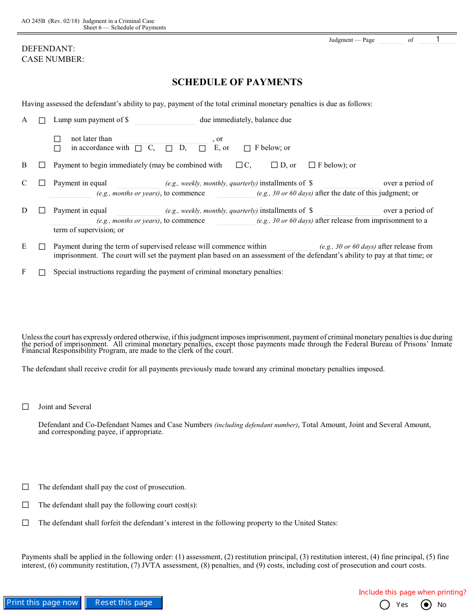 Form AO245B Judgment in a Criminal Case, Page 18