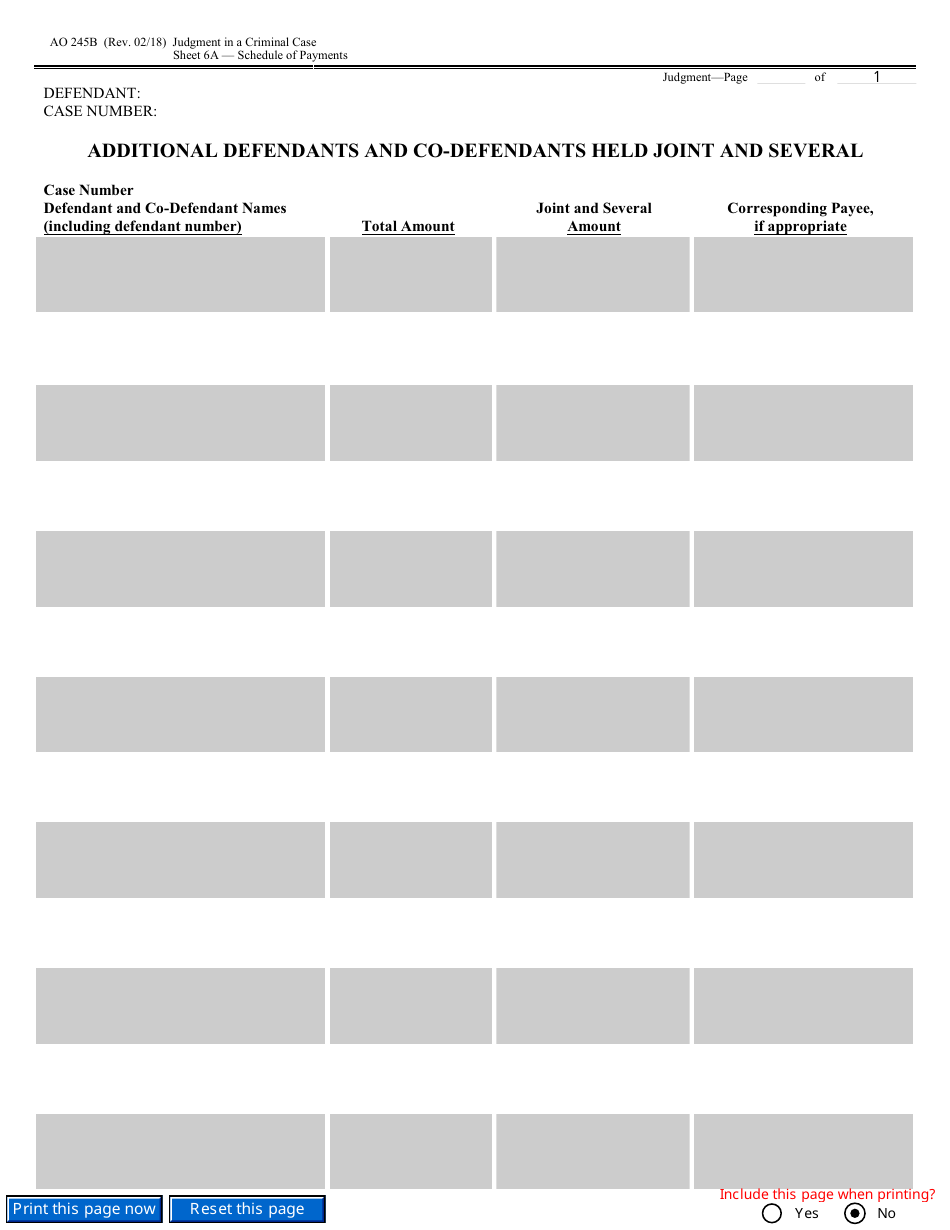Form AO245B Judgment in a Criminal Case, Page 19