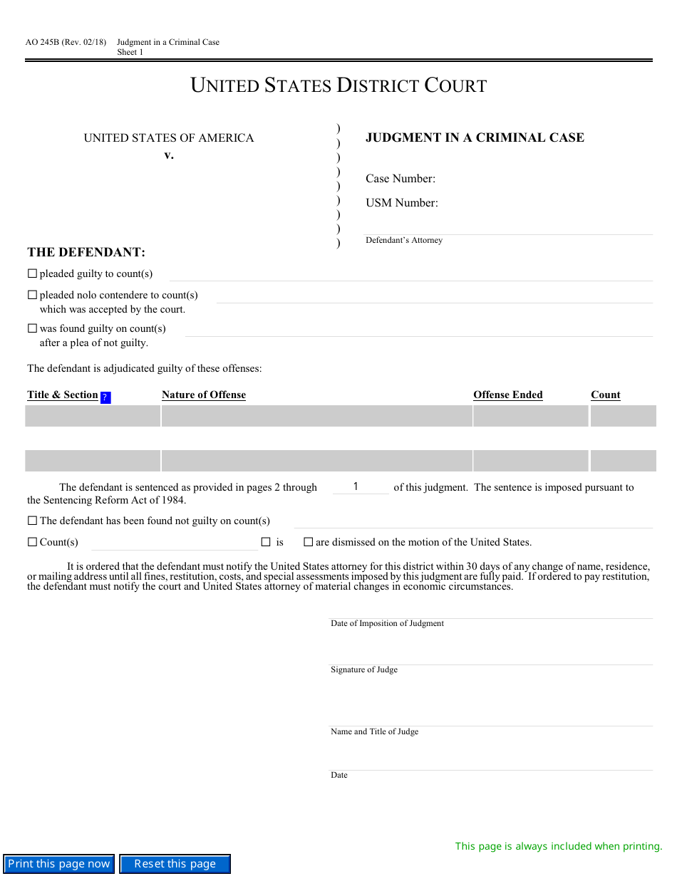 Form AO245B Judgment in a Criminal Case, Page 1