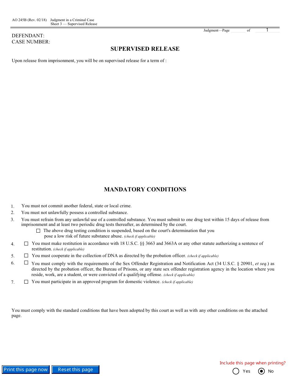 Form AO245B Judgment in a Criminal Case, Page 5