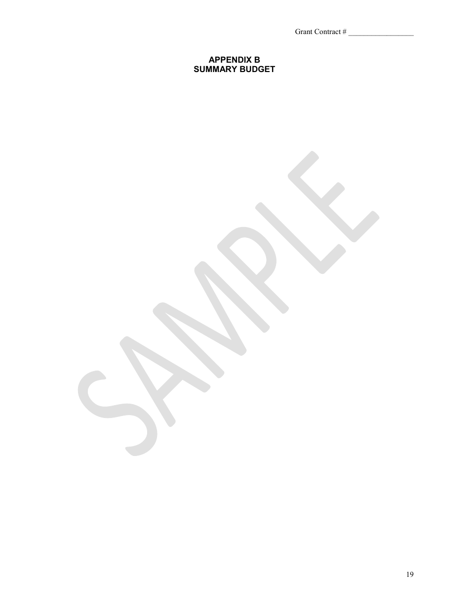 Health Insurance Grant Contract - Mnsure - Sample - Minnesota, Page 19