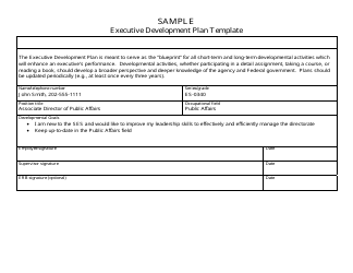 template executive development plan templateroller sample