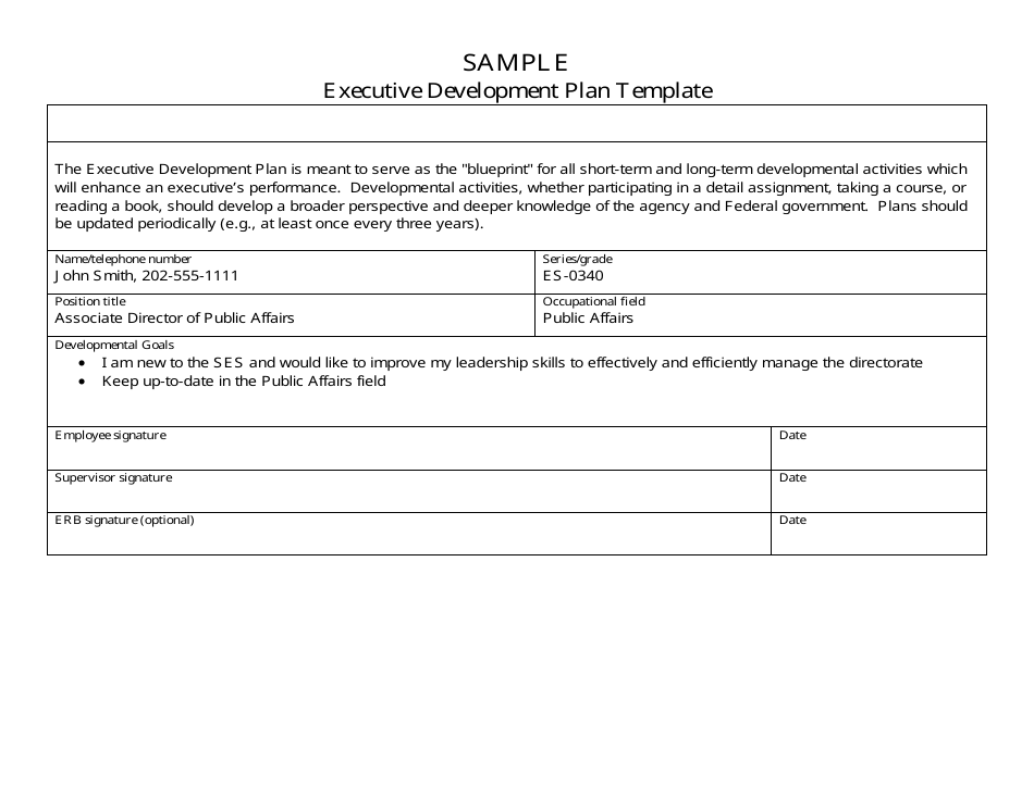 Sample Executive Development Plan Template, Page 1