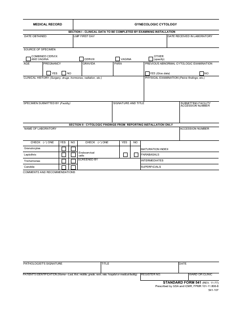 Form SF-541  Printable Pdf
