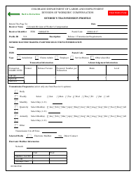 Form WC169 Sender&#039;s Transmission Profile - Colorado, Page 4
