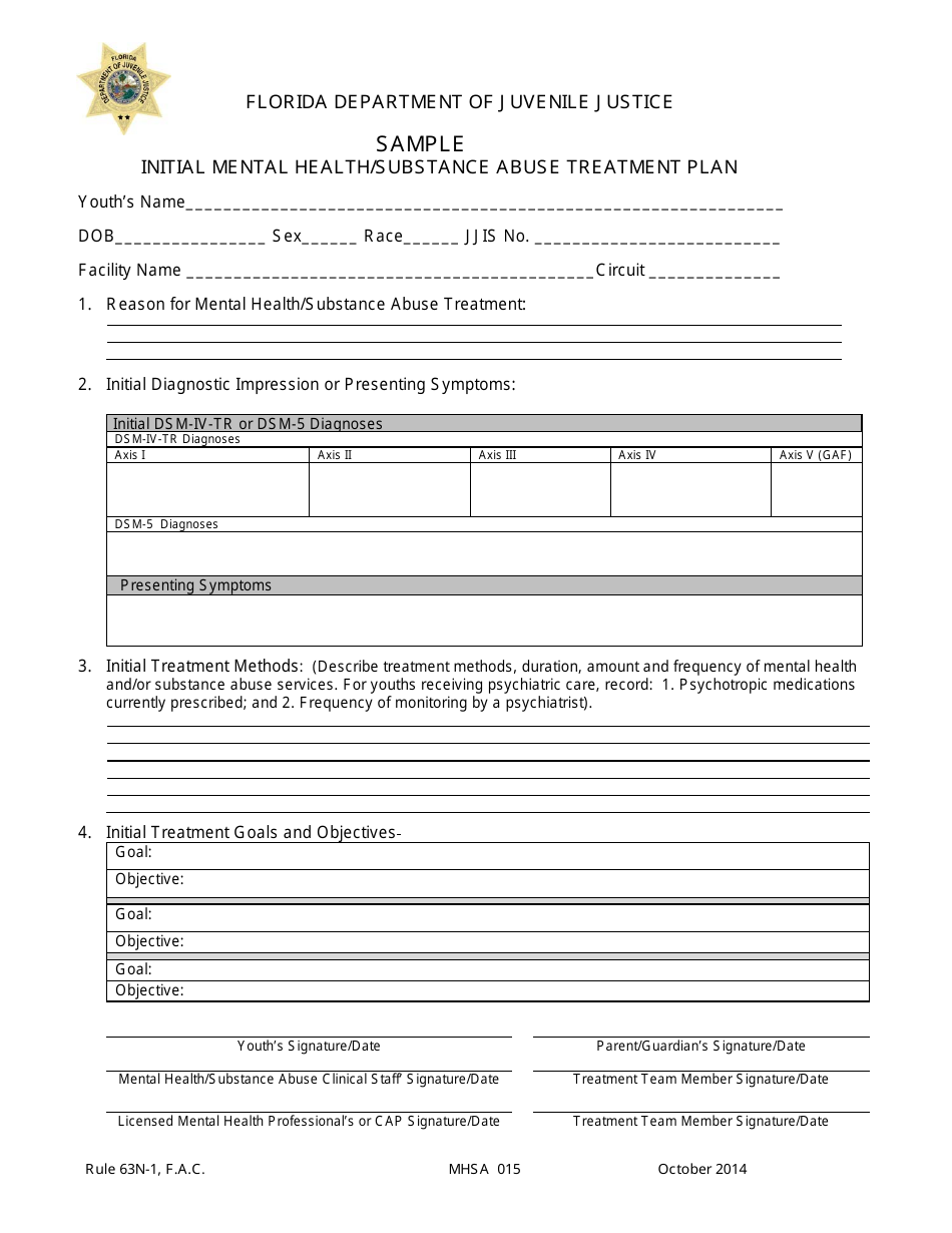 DJJ Form MHSA015 Initial Mental Health / Substance Abuse Treatment Plan - Sample - Florida, Page 1