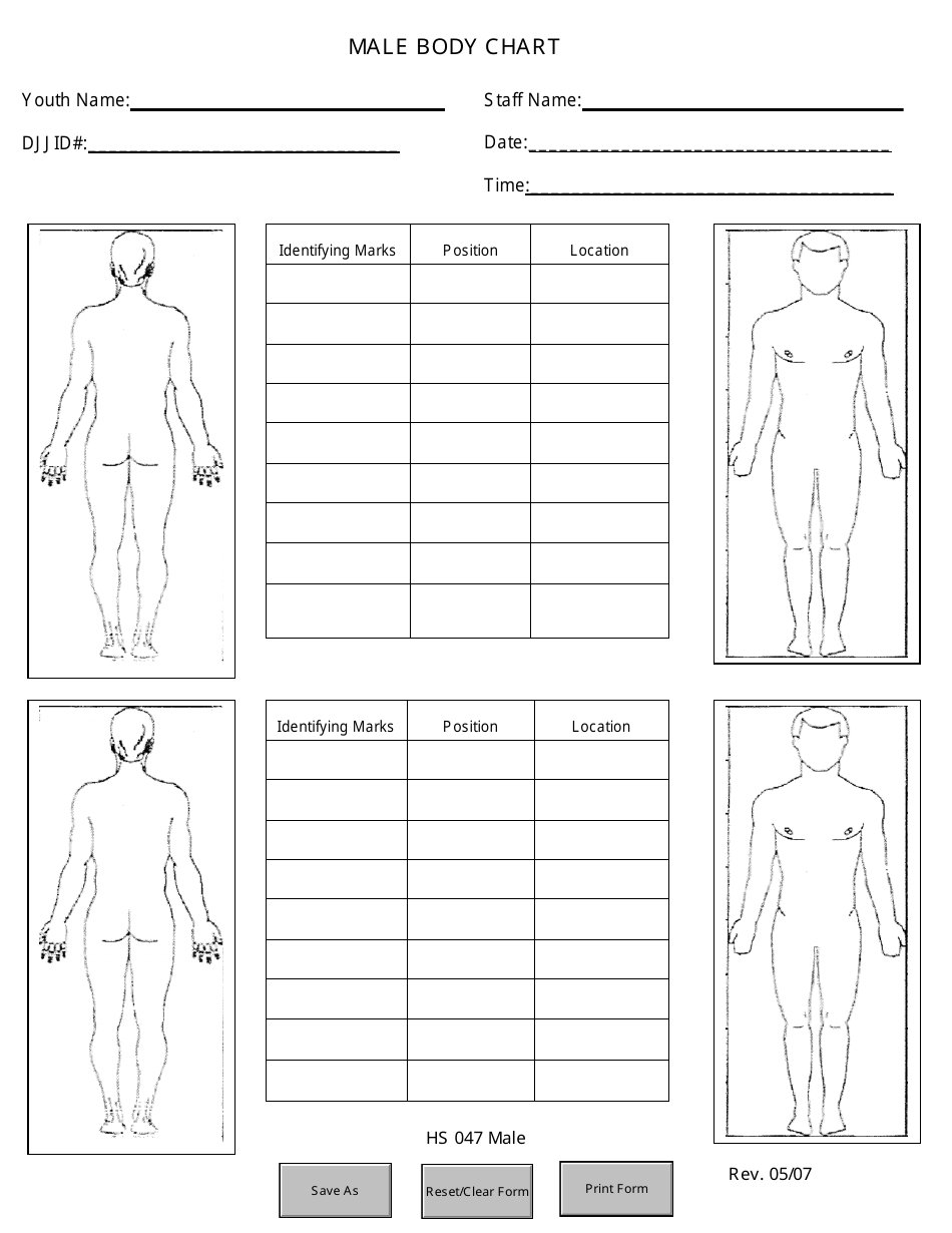 DJJ Form HS047 - Fill Out, Sign Online and Download Fillable PDF ...