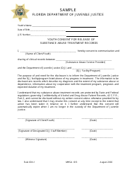 Document preview: DJJ Form MHSA013 Youth Consent for Release of Substance Abuse Treatment Records - Sample - Florida