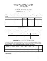 Financial Information Form - Arizona, Page 3