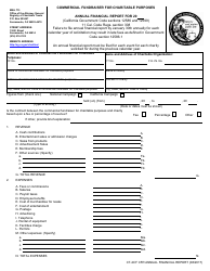 Document preview: Form CT-2CF Annual Financial Report - California