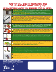 Childhood Lead Poisoning Prevention Program Checklist - California (English/Hmong), Page 2