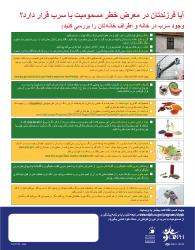 Childhood Lead Poisoning Prevention Program Checklist - California (English/Farsi), Page 2