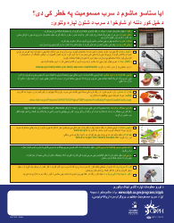 Childhood Lead Poisoning Prevention Program Checklist - California (English/Pashto), Page 2