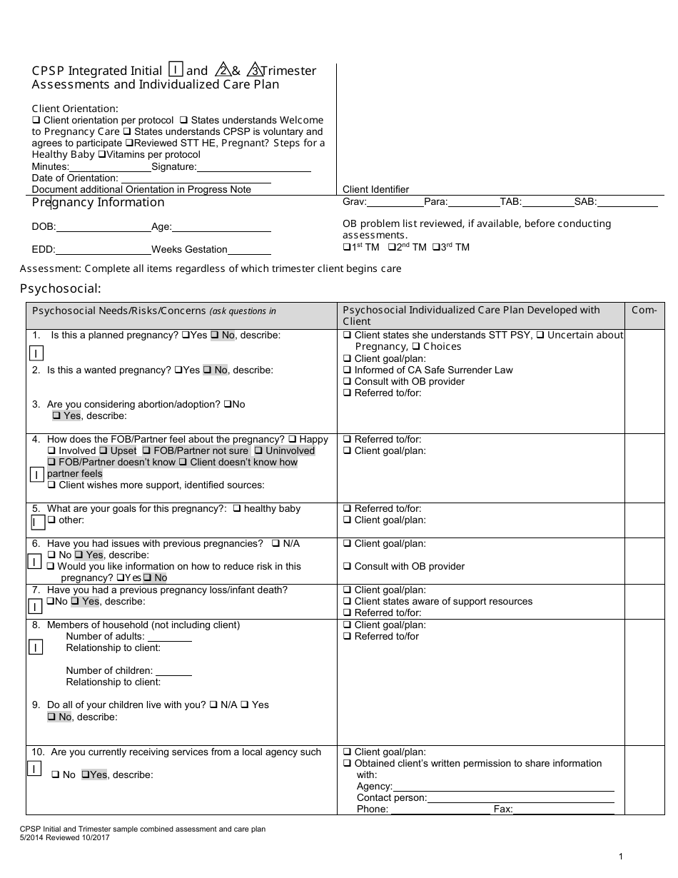 Cpsp Initial and Trimester Sample Combined Assessment and Care Plan - California, Page 1