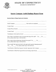 Bail Bond Surety Company Audit Findings Report Form - Connecticut, Page 2