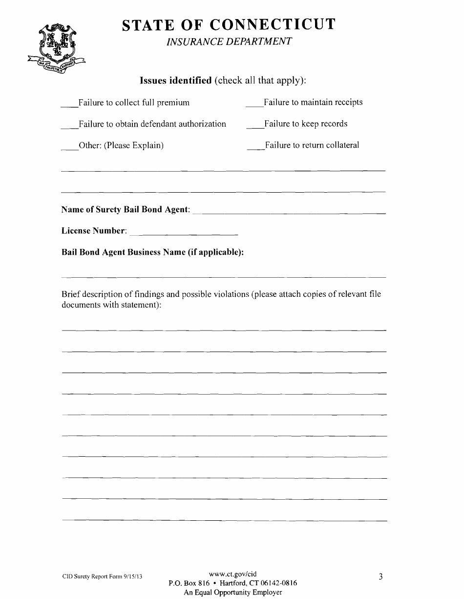 Bail Bond Surety Company Audit Findings Report Form - Connecticut, Page 3