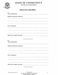 Bail Bond Surety Company Audit Findings Report Form - Connecticut, Page 4