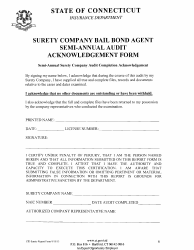 Bail Bond Surety Company Audit Findings Report Form - Connecticut, Page 6