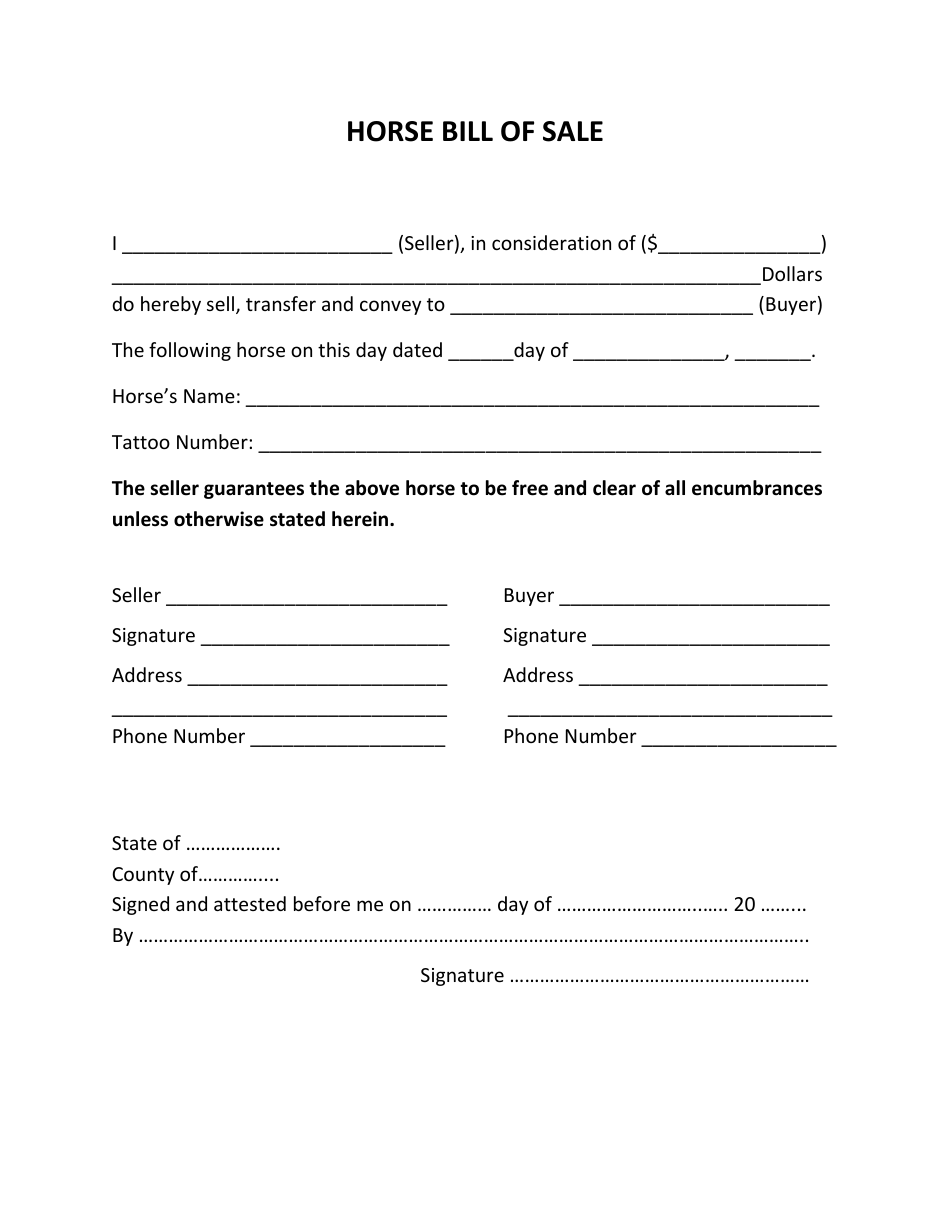 Equine Bill Of Sale Template