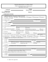 DOEA Form 701B &quot;Comprehensive Assessment&quot; - Florida