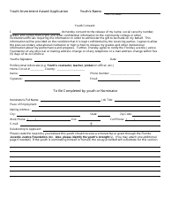 Florida Juvenile Justice Foundation Youth Investment Award Application Form - Florida, Page 2