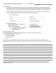 Florida Juvenile Justice Foundation Youth Investment Award Application Form - Florida, Page 3