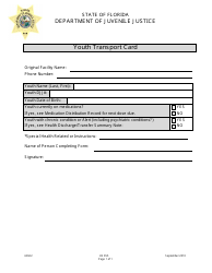 DJJ Form HS055 &quot;Youth Transport Card&quot; - Florida