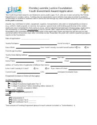 Document preview: Youth Investment Award Application Form - Florida Juvenile Justice Foundation - Florida