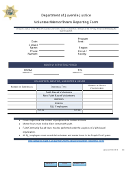 Document preview: Volunteer/Mentor/Intern Reporting Form - Florida