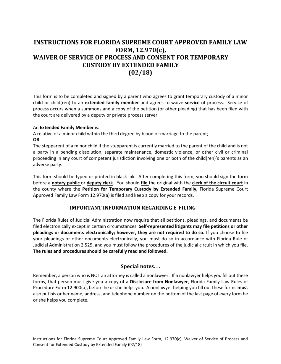 florida temporary child custody