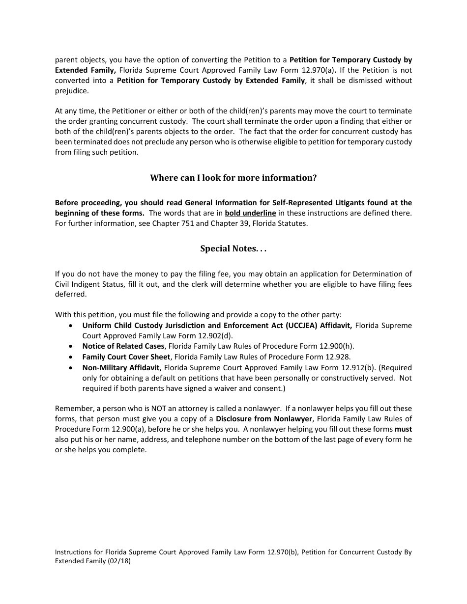 Form 12.970(B) Petition for Concurrent Custody by Extended Family - Florida, Page 3