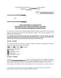 Document preview: Form 12.980(D)(2) Final Judgment of Injunction for Protection Against Domestic Violence Without Minor Child(Ren) (After Notice) - Florida