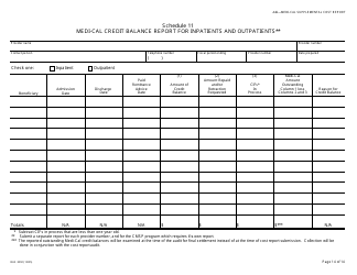 Form DHCS3092 Medi-Cal Supplemental Cost Report Schedules - California, Page 12
