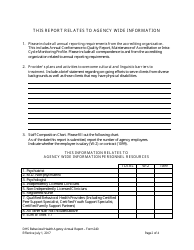 Form 240 Behavioral Health Agency Annual Reporting Form - Arkansas, Page 2