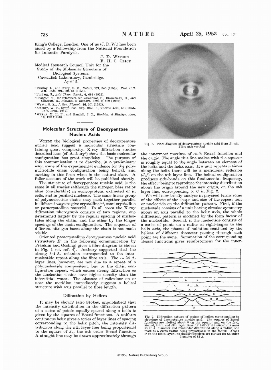 Molecular Structure of Nucleic Acids: a Structure for Deoxyribose Nucleic Acid - J.d. Watson, F.h.c. Crick., Page 2
