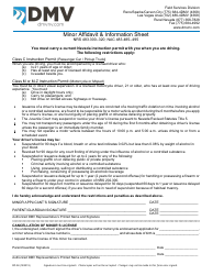 Document preview: Form DP38 Minor Affidavit & Information Sheet - Nevada