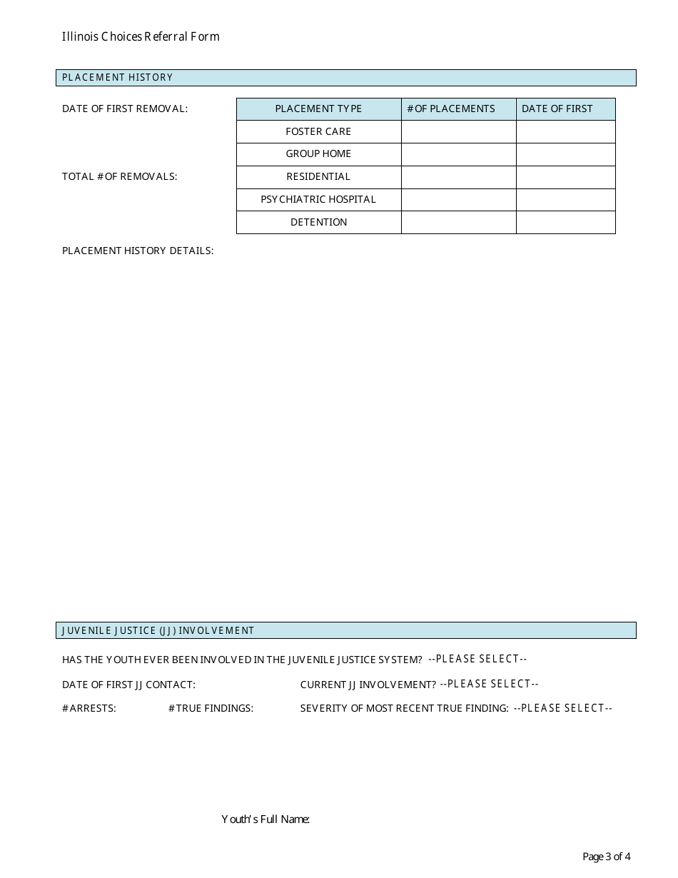 Form CFS2033-1 Illinois Choices Referral Form - Illinois, Page 3