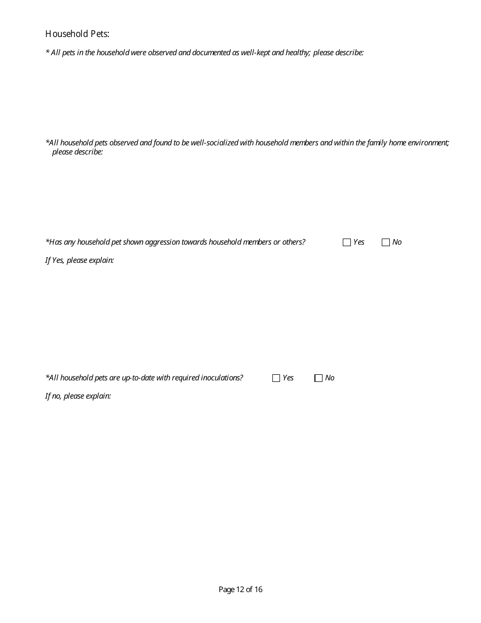 Form CFS506-I Initial Foster Home Licensing Assessment - Illinois, Page 12